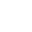Bulb White Icon